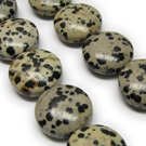 Dalmatininis jaspis disko formos 20 mm