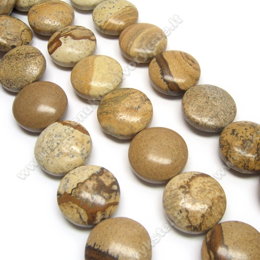 Paveikslinis jaspis disko formos 20 mm