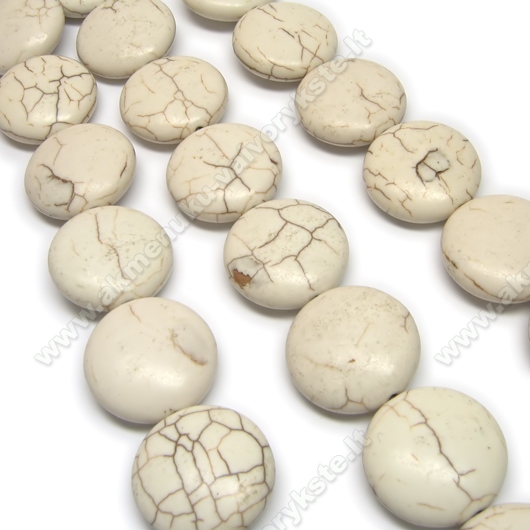 Šviesus hovlitas disko formos 20 mm