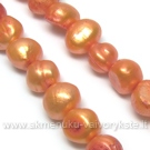 Perlų oranžinių 6 mm vėrinys 37 cm