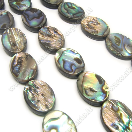 Paua kriauklė ovalo formos 18x13 mm
