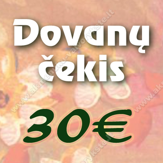 Dovanų čekis 30€ vertės